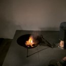 금산애견용품