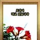 행복한 아침 이미지
