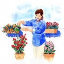 꽃을 가꾸는 여인의 마음 (일러스트) 이미지