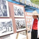 용담면 벚꽃길 이미지