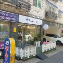 단짝 펫살롱 이미지