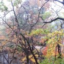 철탑민박 이미지