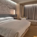 경보사우나센터 | 코트야드 메리어트 세종 프리미어룸 호수뷰 &amp; 조식 세종 키친(티타늄 플래티넘 혜택) | 공주 여행 간단...