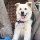 제주애 펜션 이미지