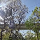 연천 뷰좋은 스톤브룩 캠핑장 B 사이트 후기 및 명당 추천 (입퇴실 이벤트 정보)