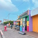 기아오토큐 서귀포중부점 | 제주올패스(브이패스)- 스카이 워터쇼 후기 / 망고데이 아이스크림