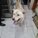 청림동물병원 이미지