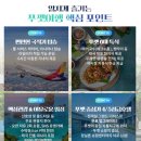 지금기획 티스토리
