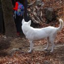 영남 알프스 펜션 이미지