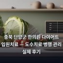 단양한의원 | 충북 단양군 한의원 다이어트 입원치료 — 도수치료 병행 관리 실제 후기