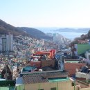 감천문화마을 Daum카페