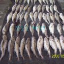 여주-0071 이미지