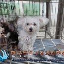 온수역 6번출구 이미지