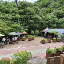 머루와인 벤치 이미지