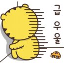컨테이너호텔 이미지