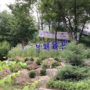 장군봉체육관 이미지