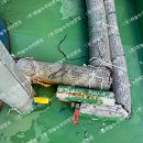 고하대로 이미지