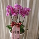 리본1급모터스 이미지