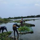 오조리마을회 이미지