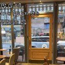 CAFE THE DOG 이미지