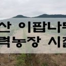 정용농장 이미지