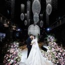 주식회사 화이트독스튜디오 | JK아트컨벤션 엠버루체홀 스냅 화이트톤 본식스냅 후기