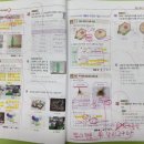 셀파우등생보습학원