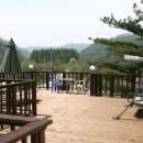 로뎀나무펜션 이미지