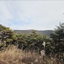 용산골