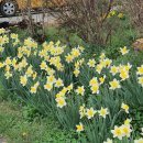 구항면 온요마을회관 이미지