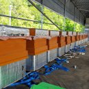 봉이농장 이미지