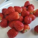 수랏간 한식뷔페 이미지