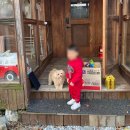 소토소토 | 청주 키즈 펜션 소토소토 후기, 개인적으론 비추