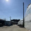 영일농장 이미지