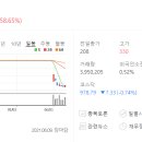 에스엔케이글로벌주 이미지