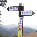 충북제천 백곡산 10년 04월 16일산행 이미지