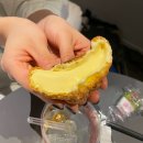 미니쇼촬 | 후쿠오카 여행기