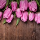 넷플러스 이미지