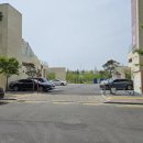 섬댕 강아지 미용실 이미지