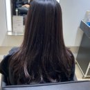 성수미용실 시드더뷰티 연무장점에서 애쉬컬러 및 가벼운 커트 후기