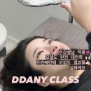멜리아카데미