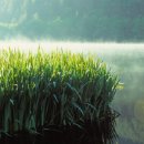 평화세탁 이미지