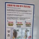 서하남 화덕생선구이 맛집 북극해고등어 솔직 후기