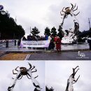 창수메밀영농조합법인 이미지