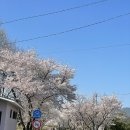 오일시장 체육공원 이미지