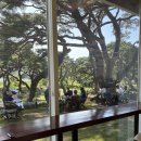 늘,파인 | 소나무 숲속에 위치한 남원 카페 ‘늘,파인’ 방문 후기