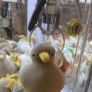 왕창뽑기방 이미지