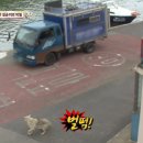 길순농장 이미지