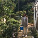 바둑아놀자 | [보령가볼만한곳] 세종 바둑아놀자가 &#39;바둑이네동물원&#39;으로 이전