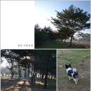 3월 첫주~(1일~3일) 다들 어디로들 가시나요? 나만의 베스트캠핑장 top3 는?
